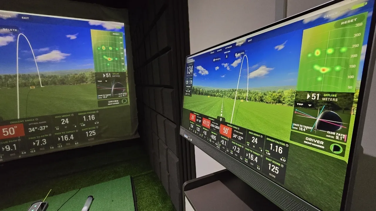 AnyBirdie dual simulator screens close-up